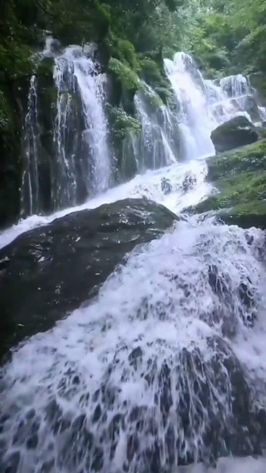 汽车弯道漂移